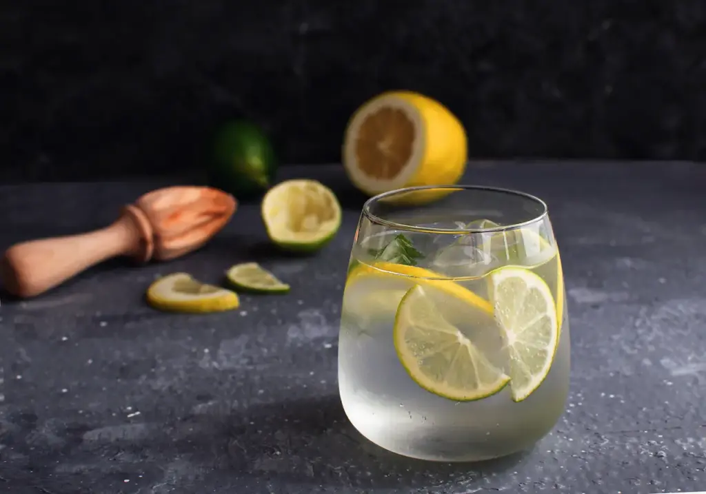Citrus Lemonade Alcohol Cocktail Gin 