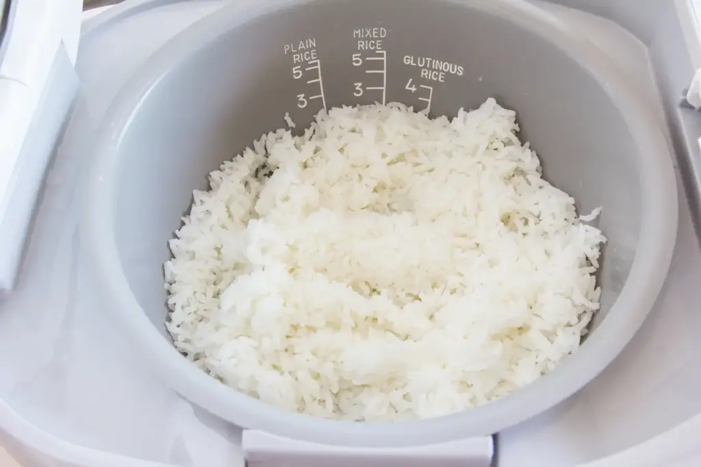 Close up of Rice Cooker