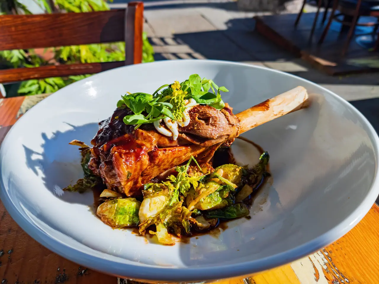 White Plate Filled with Italian-Style Lamb Shanks