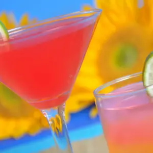 Summer Cocktail Fun
