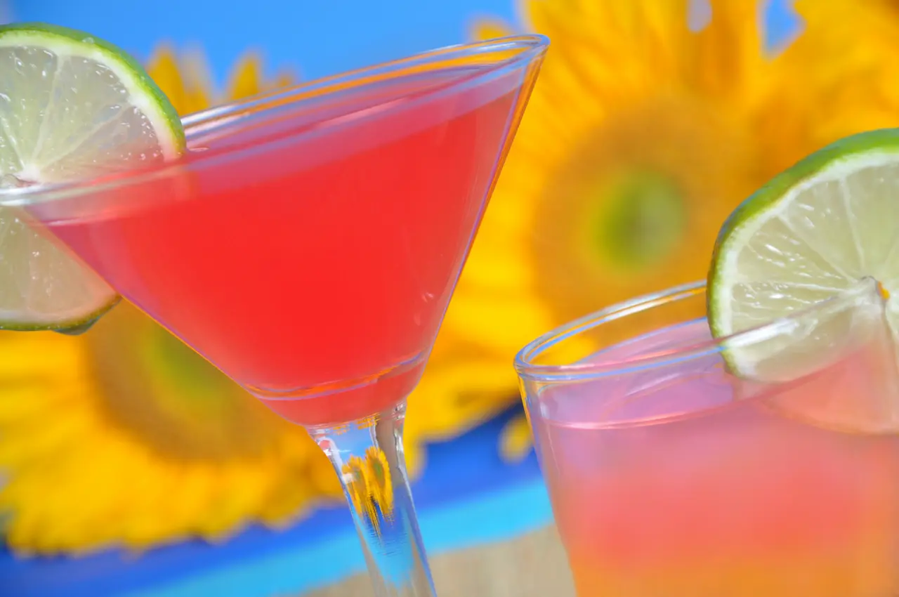 Summer Cocktail Fun