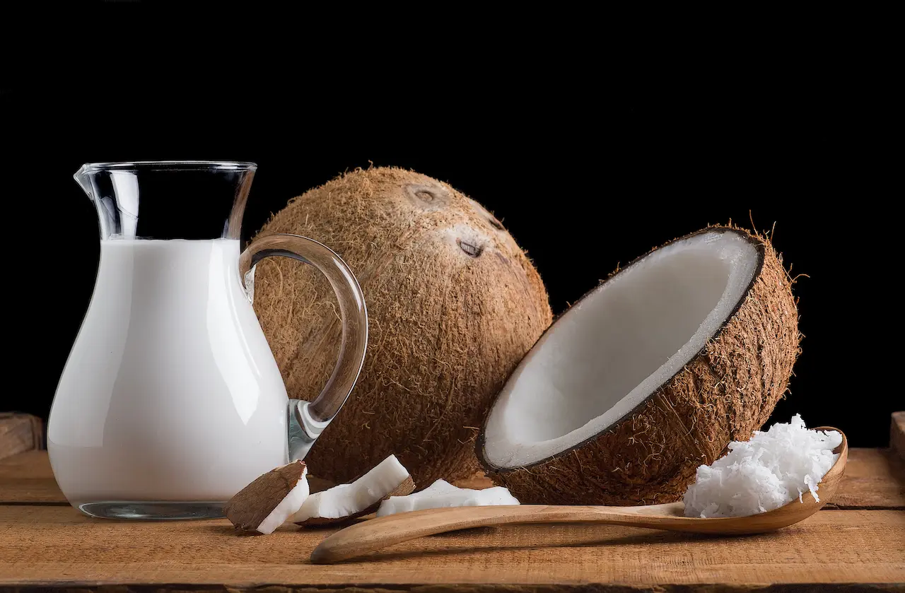 Home-made Coconut Milk on a Glass