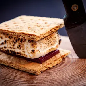 Nutella S'mores on a Log Next to a Knife