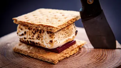 Nutella S'mores on a Log Next to a Knife