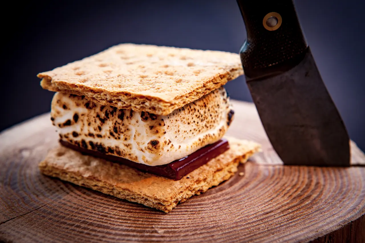 Nutella S'mores on a Log Next to a Knife