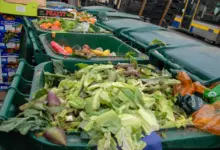 Understanding Food Waste